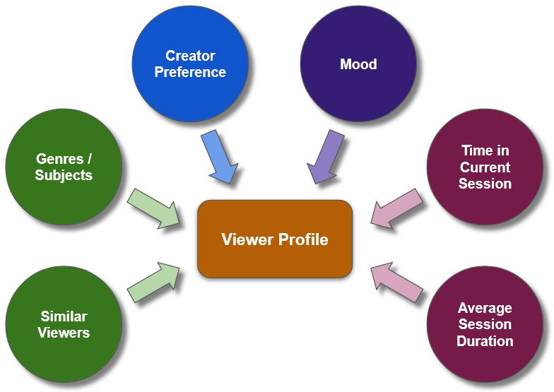 Viewer Profile Example